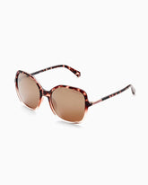 Lilly Pulitzer Norah Sunglasses Dark Tortoise | Women Sunglasses & Eyewear