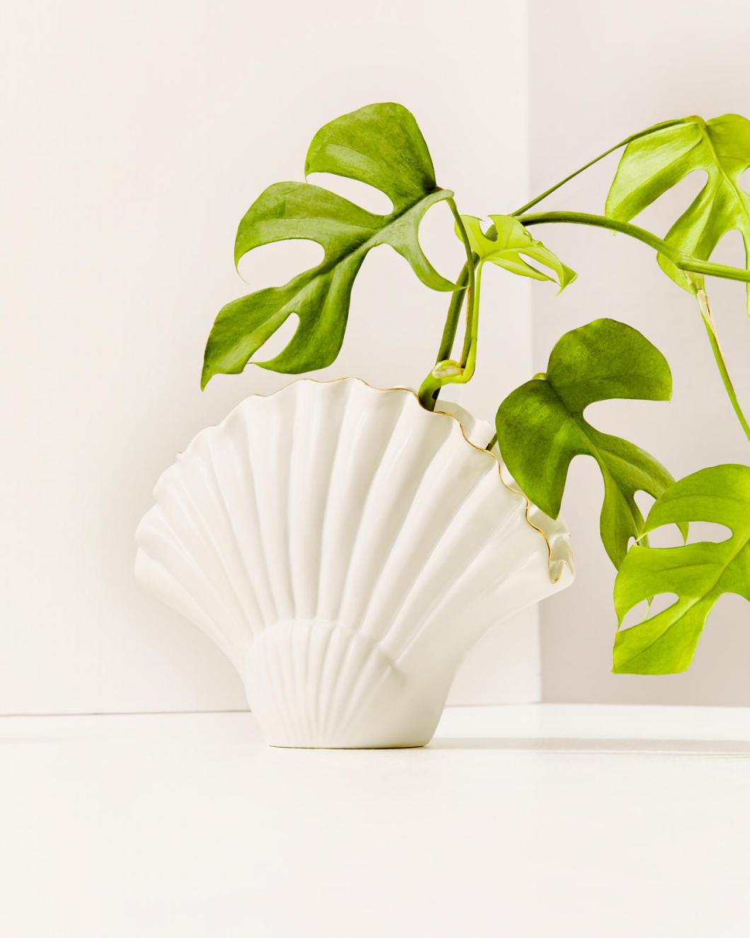 Lilly Pulitzer Seashell Vase Resort White | Women Home Decor