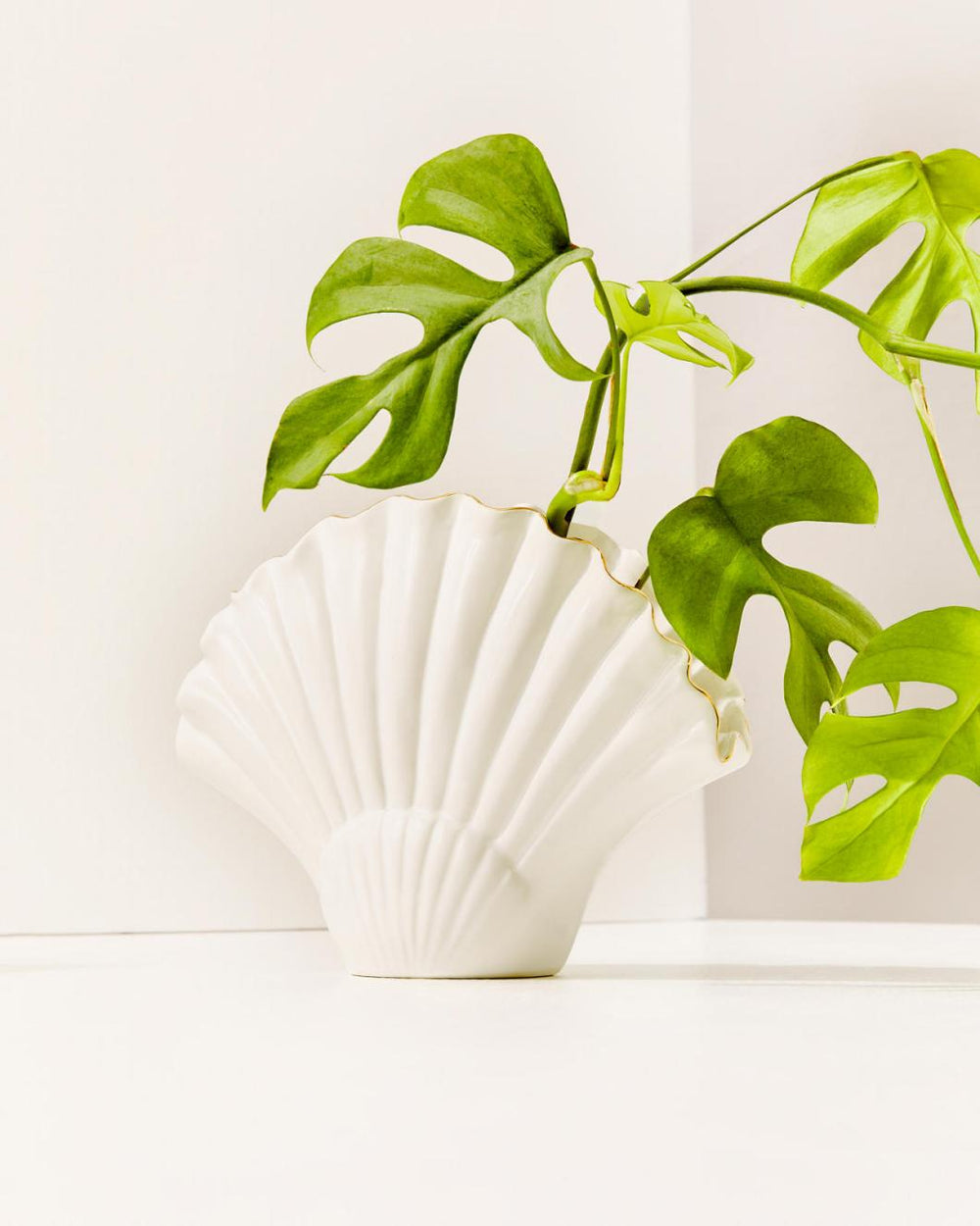 Lilly Pulitzer Seashell Vase Resort White | Women Home Decor