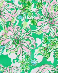 Lilly Pulitzer Upf 50+ Skipper Popover Spearmint Blossom Views | Women Tops